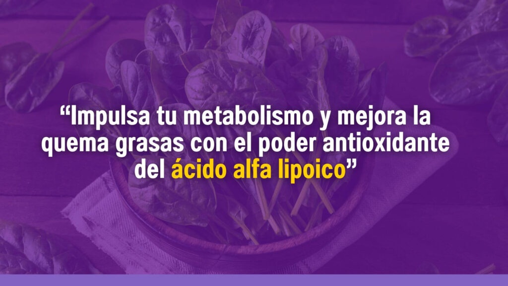 Acido Alfa lipoico para perder peso